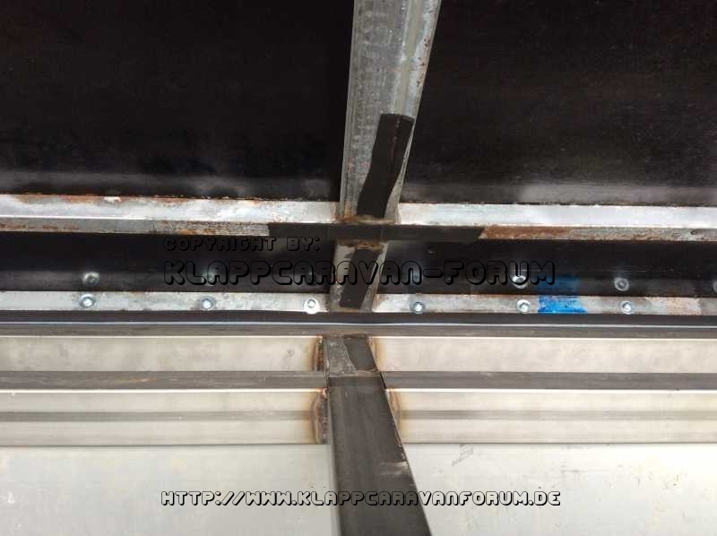 Gordigear Savannah goes Humbaur 132513-5