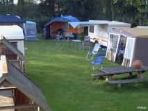 Die Klapper (und Falter)