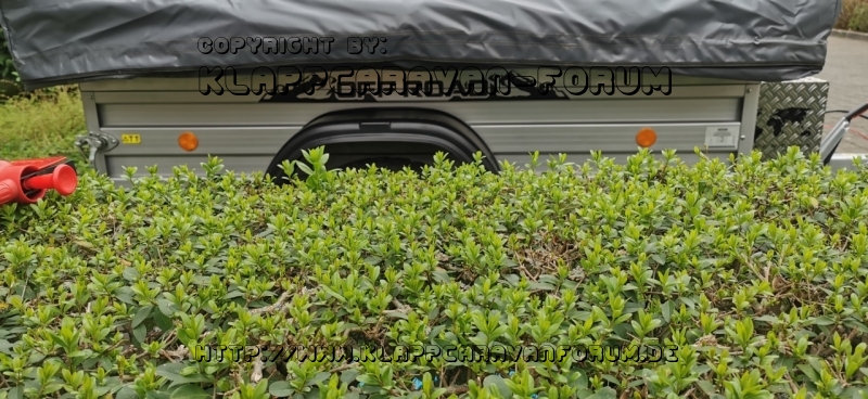 IMG_20220415_171046_resized_20220415_055949162