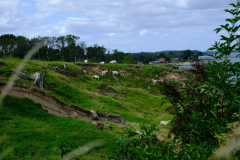 Tårup Strand Camping