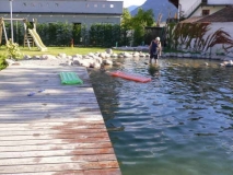 Camping Obstgarten - Schwimmteich