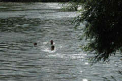 Bad in der Mosel - Camping Ferieninsel Winningen - Winningen an der Mosel