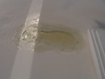 Esterel CC42 Einmal neu Bitte ;-) Komplettrestauration