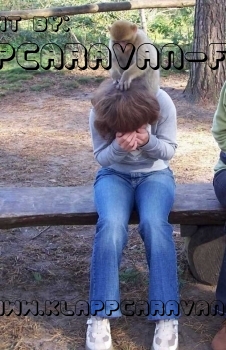 Im Affenwald Malchow