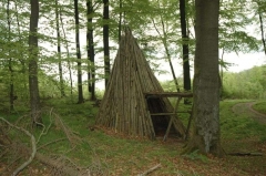 Köhlerhütte im Wald beim CP