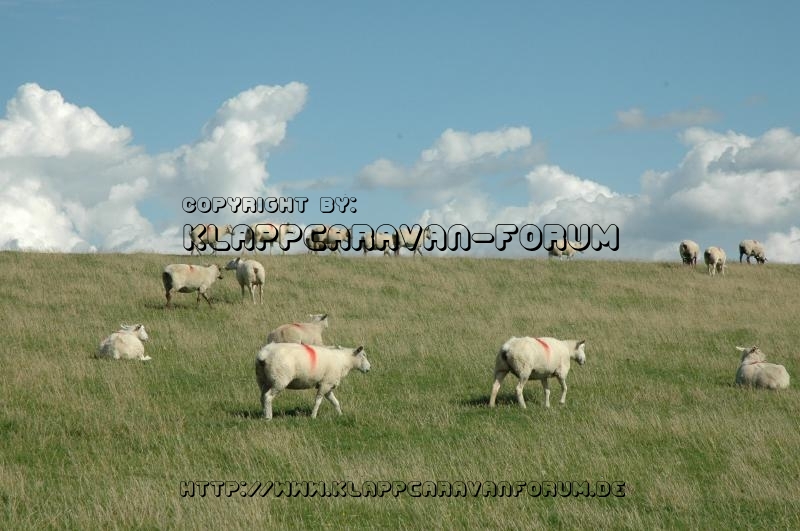 Kalenderbild 2014 (10)