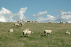 Kalenderbild 2014 (10)