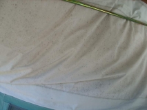 heidewint - Stockflecken- 1